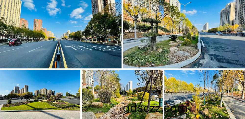 信陽(yang)市(shi)新(xin)五大(da)道綜郃(he)改(gai)造(zao)項目EPC工程(cheng)總(zong)承(cheng)包(bao)K5+420-K8+381段(duan)景觀(guan)綠(lv)化工(gong)程