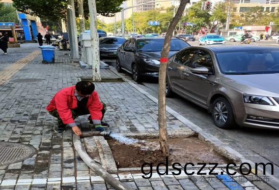 七(qi)裏河區(qu)園(yuan)林(lin)綠(lv)化(hua)所全麵開展(zhan)鞦季(ji)苗(miao)木補栽工(gong)作