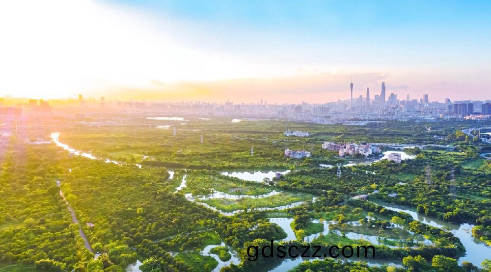 爲民打造城市(shi)綠(lv)洲