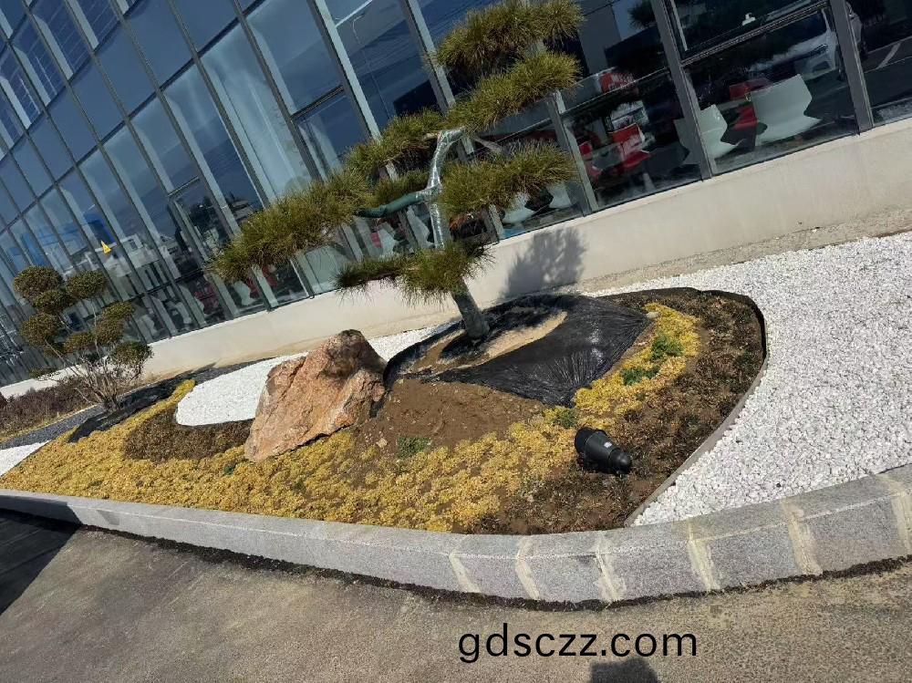 宿遷(qian)某瑞森(sen)企(qi)業(ye)廠(chang)房(fang)內(nei)部(bu)綠化(hua)